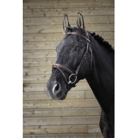 Bridon Norton Pro Fin Havanna