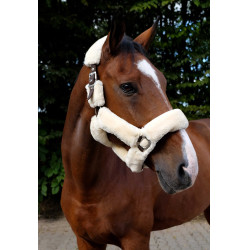 Halfter Equithème Teddy Schoko / Ecru Halfter Equithème Teddy Schoko / Ecru