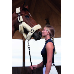 Halfter Equithème Teddy Schoko / Ecru Halfter Equithème Teddy Schoko / Ecru