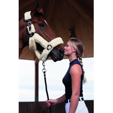 Halfter Equithème Teddy Schoko / Ecru Halfter Equithème Teddy Schoko / Ecru