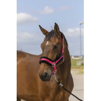 Halfter Equithème Nylon Lammfell Rosa / Schwarz