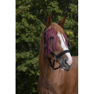 Frontal Fliegenabweiser Norton Bordeaux Frontal Fliegenabweiser Norton Bordeaux