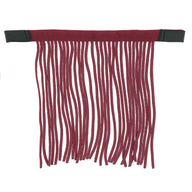 Frontal Fliegenabweiser Norton Bordeaux Frontal Fliegenabweiser Norton Bordeaux