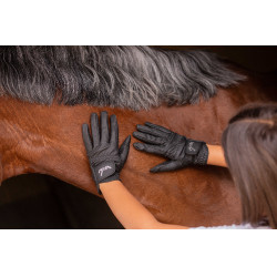 Handschuhe Eden by Pénélope Prisma Strass Schwarz