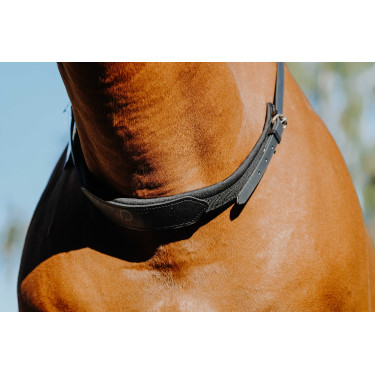 Reitriemen für das Reiten ohne Sattel Norton Reitriemen für das Reiten ohne Sattel Norton
