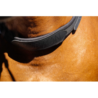 Reitriemen für das Reiten ohne Sattel Norton Reitriemen für das Reiten ohne Sattel Norton