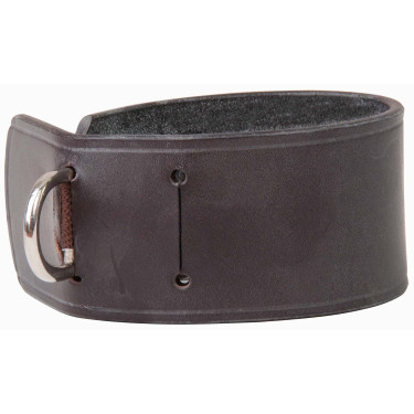 Befestigung für Hilfszügel am Sattelgurt T von T Dunkles Havanna Braun