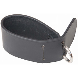 Befestigung für Hilfszügel am Sattelgurt T von T