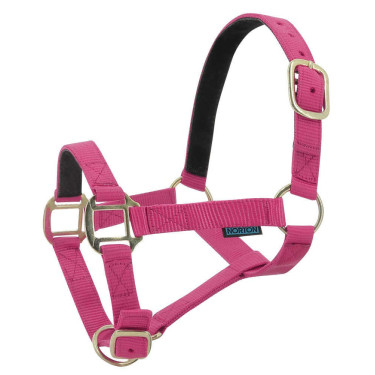 Nylonhalfter mit Leder unterlegt Norton Himbeere Nylonhalfter mit Leder unterlegt Norton Himbeere