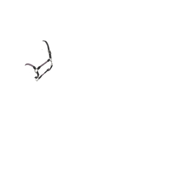 LeMieux Ropella Halfter Flieder Lila