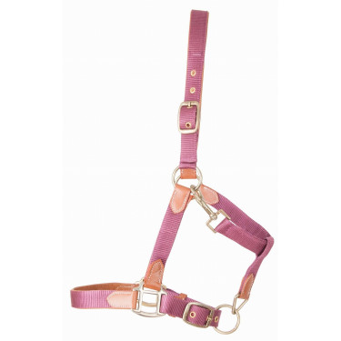 Licol en cuir et sangle T de T Bordeaux Licol en cuir et sangle T de T Bordeaux