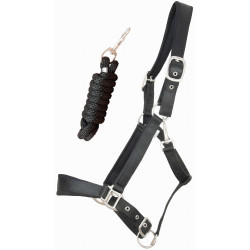 Satinierter Halfter mit Fütterung und runder Führstrick T de T Satinierter Halfter mit Fütterung und runder Führstrick T de T