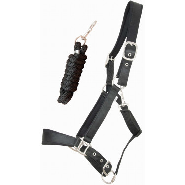 Satinierter Halfter mit Fütterung und runder Führstrick T de T Satinierter Halfter mit Fütterung und runder Führstrick T de T