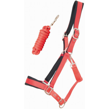 Satinierter Halfter mit Fütterung und runder Führstrick T de T Satinierter Halfter mit Fütterung und runder Führstrick T de T