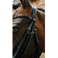 Trense Norton Onyx Schwarz Trense Norton Onyx Schwarz