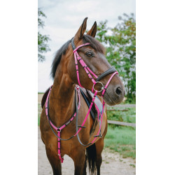 Endurance-Zaumzeug Norton Pop Pink Rosa