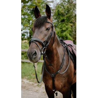 Endurance-Zaumzeug Norton Pop Schwarz