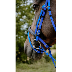 Endurance-Zaumzeug Norton Pop Königsblau