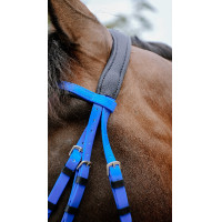 Endurance-Zaumzeug Norton Pop Pink Rosa