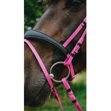 Endurance-Zaumzeug Norton Pop Pink Rosa