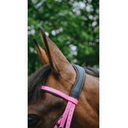 Endurance-Zaumzeug Norton Pop Pink Rosa