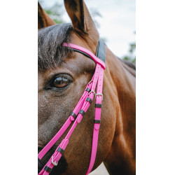 Endurance-Zaumzeug Norton Pop Pink Rosa