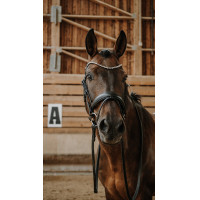 Trense Norton Diams Schwarz Trense Norton Diams Schwarz