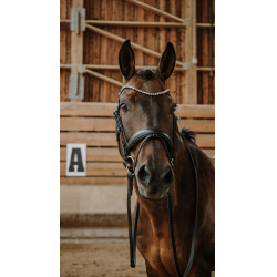 Trense Norton Diams Schwarz Trense Norton Diams Schwarz