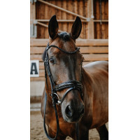 Trensenzaum Norton Royal Schwarz