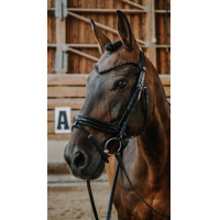 Trensenzaum Norton Royal Schwarz