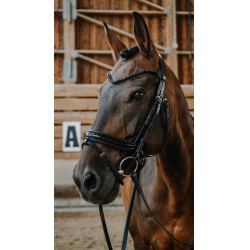 Trensenzaum Norton Royal Schwarz