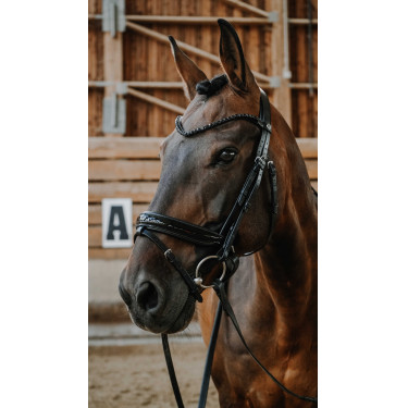 Trensenzaum Norton Royal Schwarz