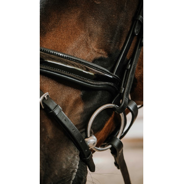 Trensenzaum Norton Royal Schwarz