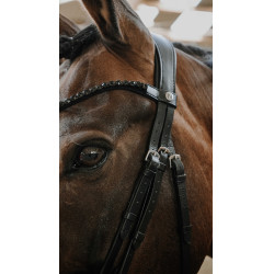 Trensenzaum Norton Royal Schwarz