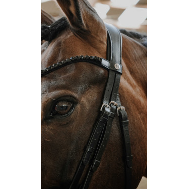 Trensenzaum Norton Royal Schwarz