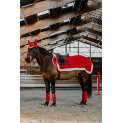 Equithème Nierendecke Xmas