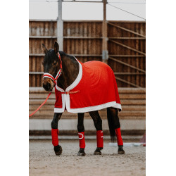 Halfter + Führstrick Equithème Xmas Rot