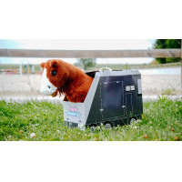 Mini-Pony Jumpy Pony Academy Orange