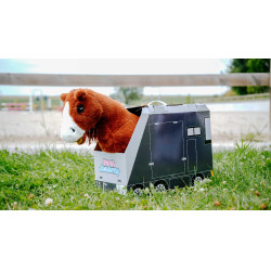 Mini-Pony Jumpy Pony Academy Orange