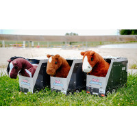 Mini-Pony Jumpy Pony Academy Orange