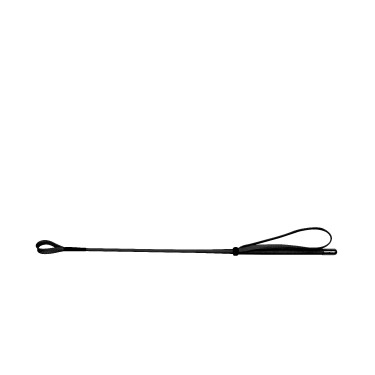 Cravache Whip & Go 53 cm Schwarz