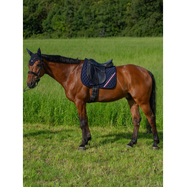 Tommy Hilfiger Equestrian Stanford Dressurpad Marineblau Tommy Hilfiger Equestrian Stanford Dressurpad Marineblau