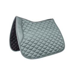 Satteldecke Waldhausen Nepal Silberblau