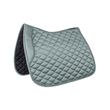 Satteldecke Waldhausen Nepal Silberblau