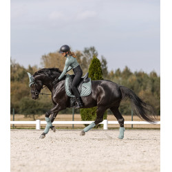 Satteldecke Waldhausen Nepal Silberblau