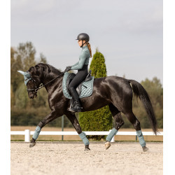 Satteldecke Waldhausen Nepal Silberblau