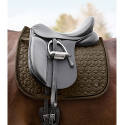 Satteldecke Waldhausen Philadelphia Braungrün