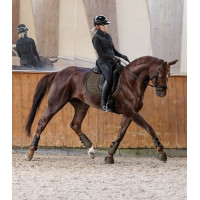 Satteldecke Waldhausen Philadelphia Braungrün