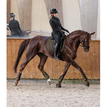 Satteldecke Waldhausen Philadelphia Braungrün