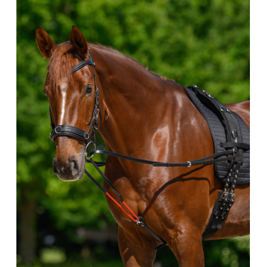 Rênes triangulaire W-train Waldhausen Schwarz